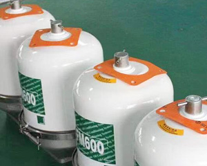 FM600